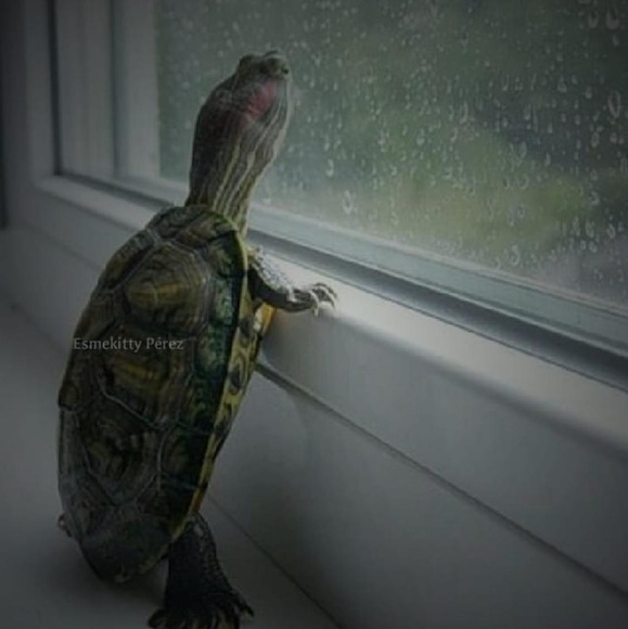 Meet your Posher, Ericka - Picture 1 of 1